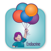 Physiology and Assessment: The Endocrine System